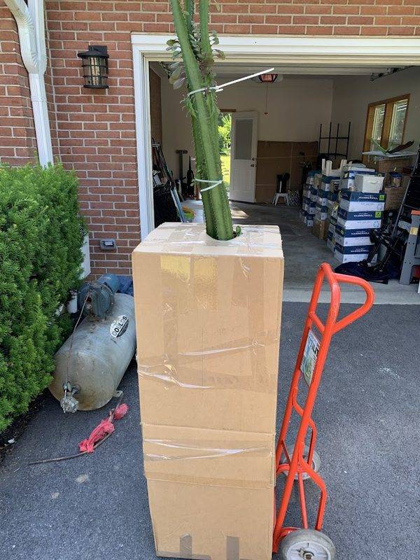 KB Movers, LLC